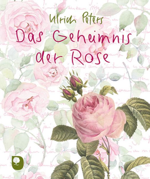 Bild zu Das Geheimnis der Rose von Ulrich Peters