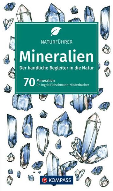 Bild zu KOMPASS Naturführer Mineralien von Ingrid Fleischmann-Niederbacher