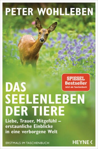 Bild zu Das Seelenleben der Tiere von Peter Wohlleben