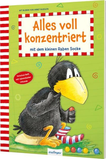 Bild zu Der kleine Rabe Socke: Alles voll konzentriert mit dem kleinen Raben Socke von Annet (Illustr.) Rudolph