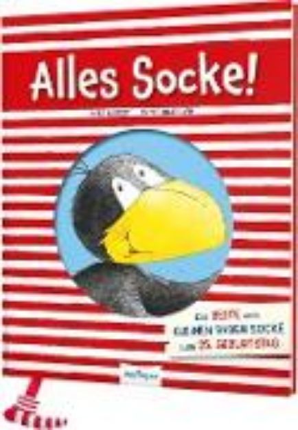 Bild zu Der kleine Rabe Socke: Alles Socke! von Nele Moost