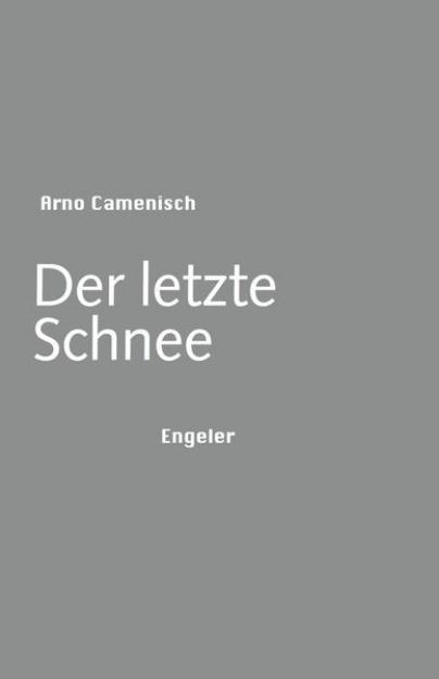 Bild zu Der letzte Schnee von Arno Camenisch