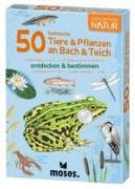 Bild zu Expedition Natur 50 heimische Tiere & Pflanzen an Bach & Teich