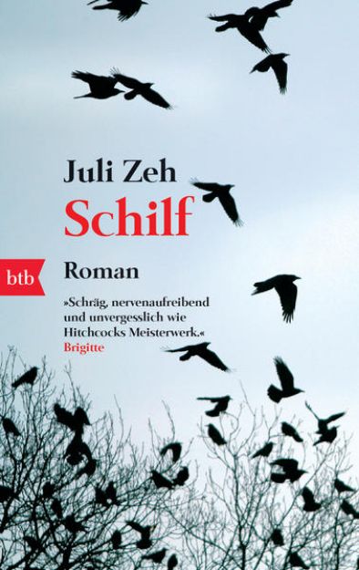 Bild zu Schilf von Juli Zeh