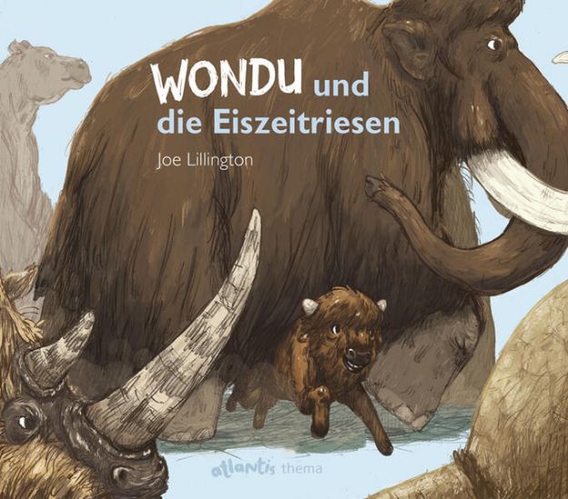 Bild zu Wondu und die Eiszeitriesen von Caesar Claude