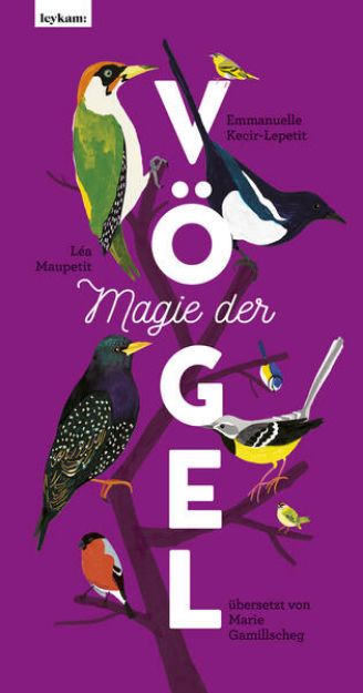 Bild zu Magie der Vögel von Emmanuelle Kecir-Lepetit