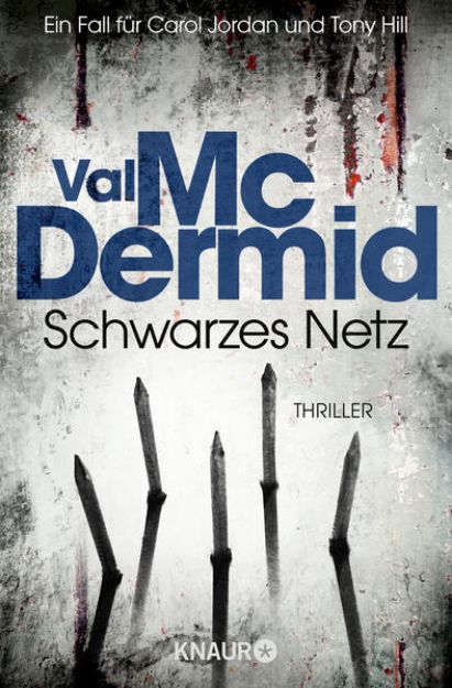 Bild zu Schwarzes Netz von Val McDermid