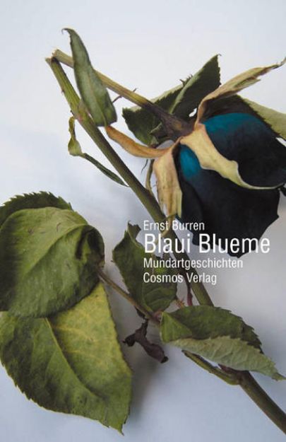 Bild zu Blaui Blueme von Ernst Burren