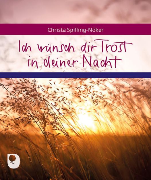 Bild zu Ich wünsch dir Trost in deiner Nacht von Christa Spilling-Nöker