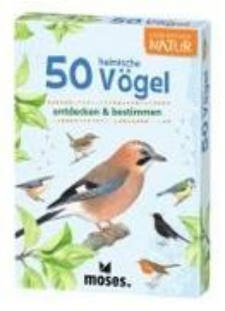 Bild zu 50 heimische Vögel von Carola von Kessel