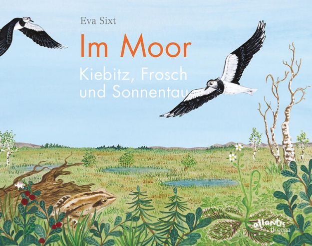 Bild zu Im Moor - Kiebitz, Frosch und Sonnentau von Eva Sixt