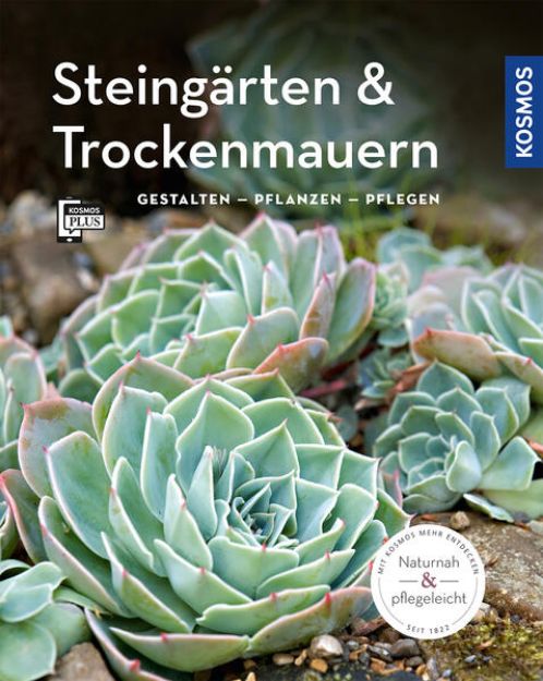 Bild zu Steingärten und Trockenmauern (Mein Garten) von Angela Beck