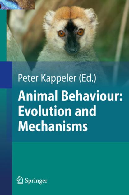 Bild zu Animal Behaviour: Evolution and Mechanisms von Nils Anthes