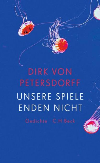 Bild zu Unsere Spiele enden nicht von Dirk von Petersdorff