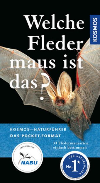 Bild zu Welche Fledermaus ist das? von Klaus Richarz