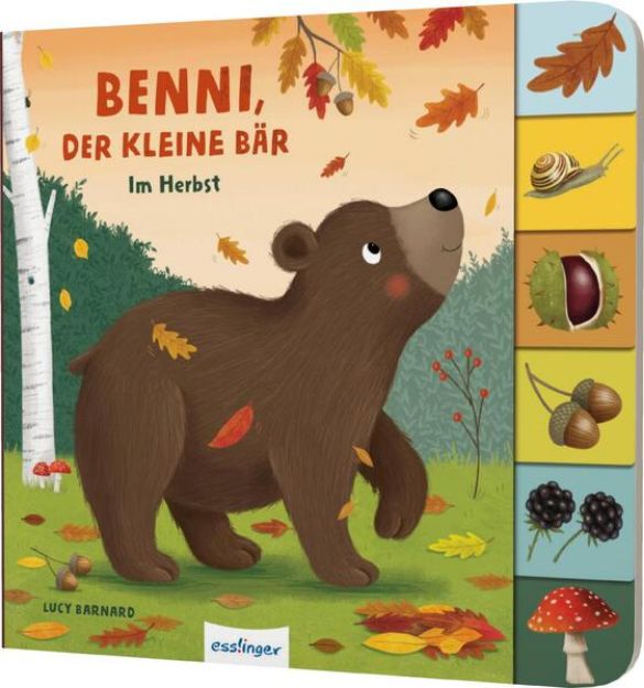 Bild von Mein erstes Jahreszeitenbuch: Benni, der kleine Bär von Anja Kiel