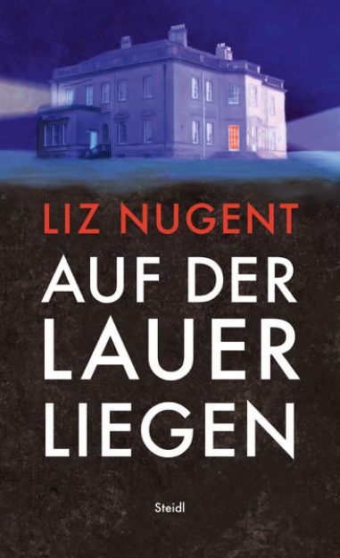 Bild zu Auf der Lauer liegen von Liz Nugent