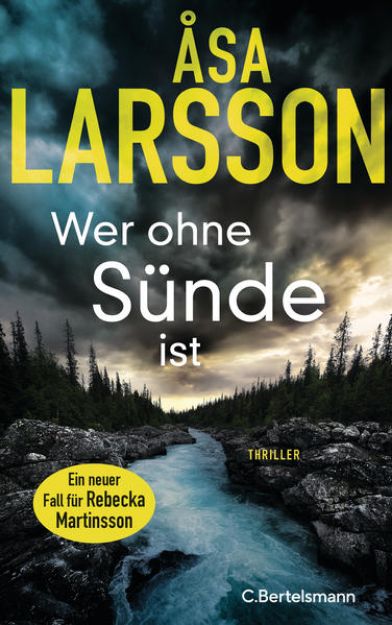 Bild zu Wer ohne Sünde ist von Åsa Larsson