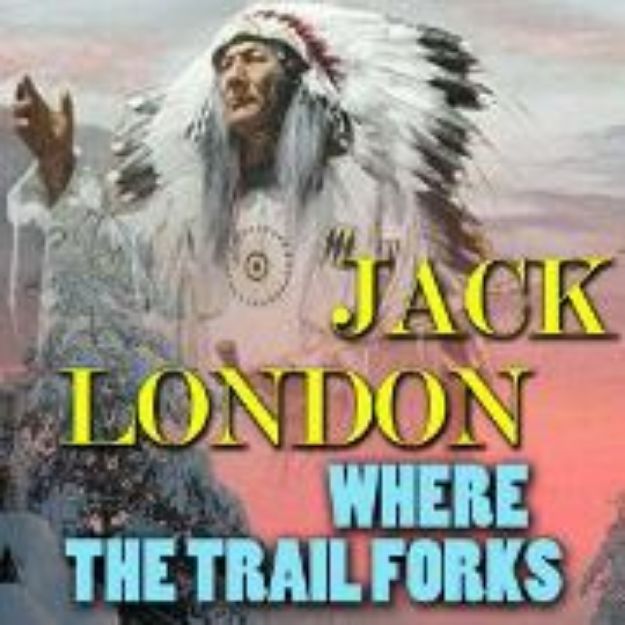 Bild von Where the Trail Forks (Audio Download)