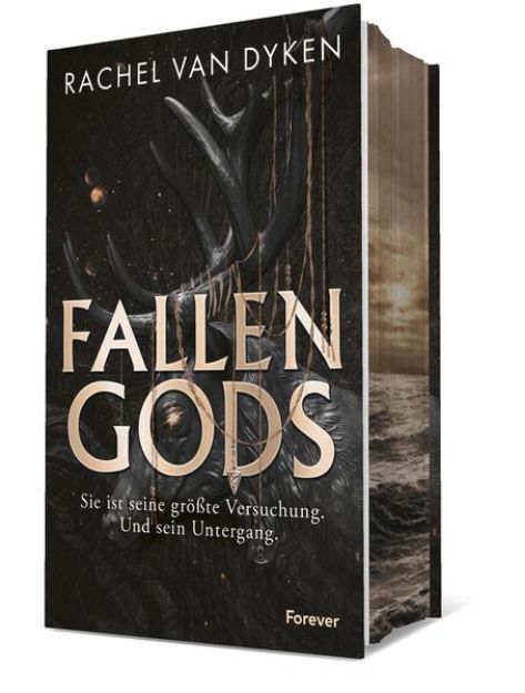 Bild zu Fallen Gods (Fallen Gods 1) von Rachel van Dyken