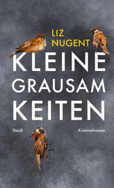 Bild zu Kleine Grausamkeiten von Liz Nugent