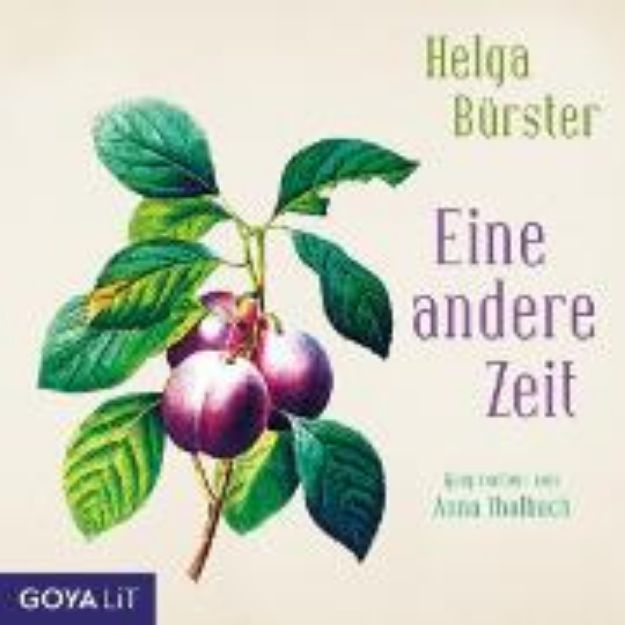 Bild zu Eine andere Zeit (Audio Download)