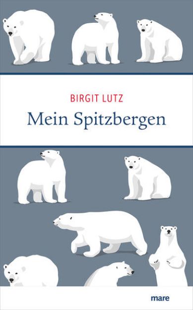 Bild zu Mein Spitzbergen von Birgit Lutz