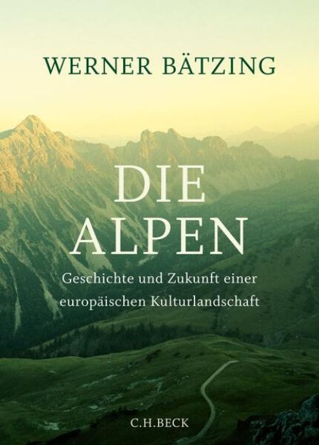 Bild zu Die Alpen von Werner Bätzing