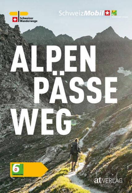 Bild von Alpenpässeweg von David Coulin