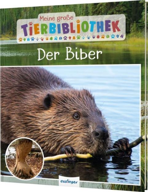 Bild zu Meine große Tierbibliothek: Der Biber von Axel Gutjahr