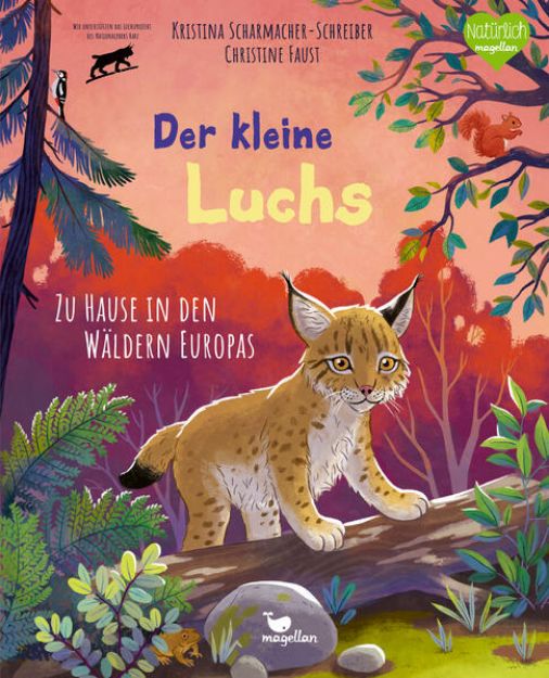 Bild zu Der kleine Luchs - Zu Hause in den Wäldern Europas von Kristina Scharmacher-Schreiber