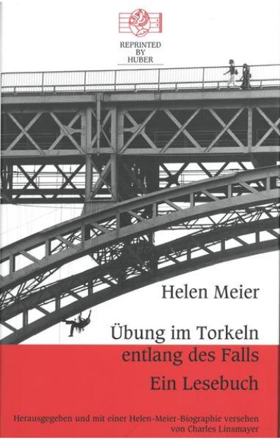 Bild zu Übung im Torkeln entlang des Falls. Ein Lesebuch von Helen Meier