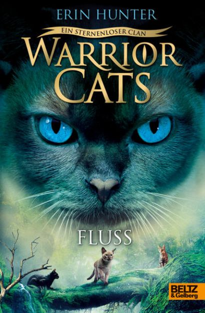 Bild zu Warrior Cats - Ein sternenloser Clan. Fluss von Erin Hunter