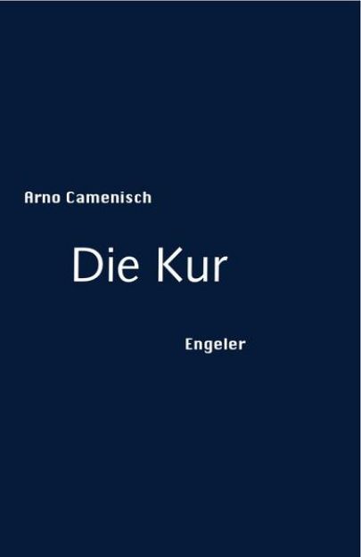 Bild zu Die Kur von Arno Camenisch