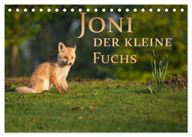 Bild von Joni, der kleine Fuchs (Tischkalender 2025 DIN A5 quer), CALVENDO Monatskalender von Marcello Zerletti