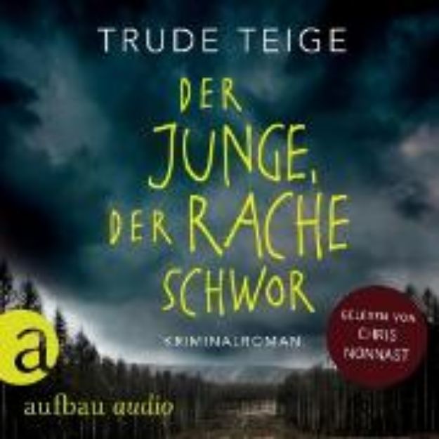 Bild zu Der Junge, der Rache schwor (Audio Download)