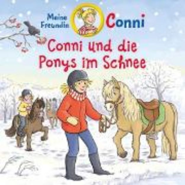 Bild von Conni und die Ponys im Schnee (Audio Download)