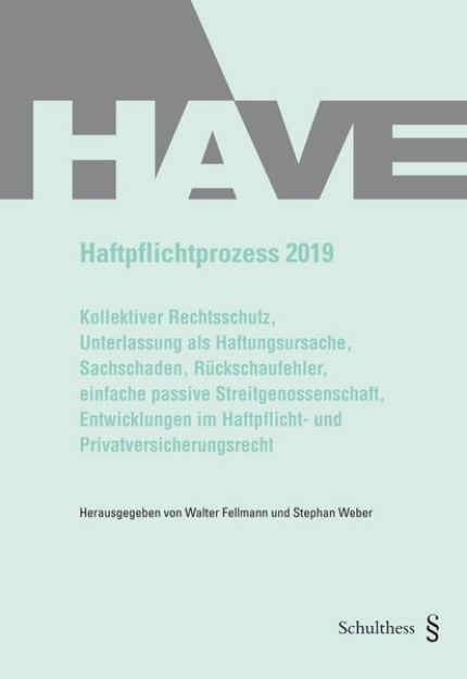 Bild zu Haftpflichtprozess 2019 von Walter Fellmann