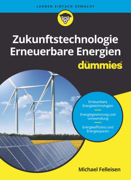 Bild von Zukunftstechnologie Erneuerbare Energien für Dummies von Michael Felleisen