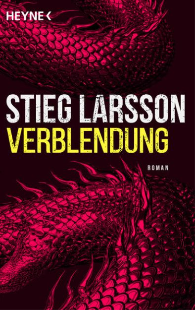 Bild zu Verblendung von Stieg Larsson