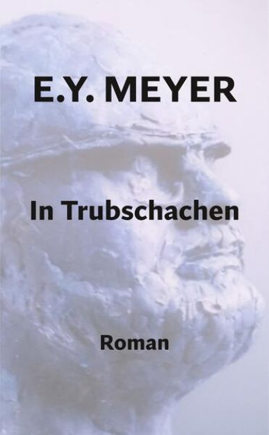 Bild zu In Trubschachen von E. Y. Meyer