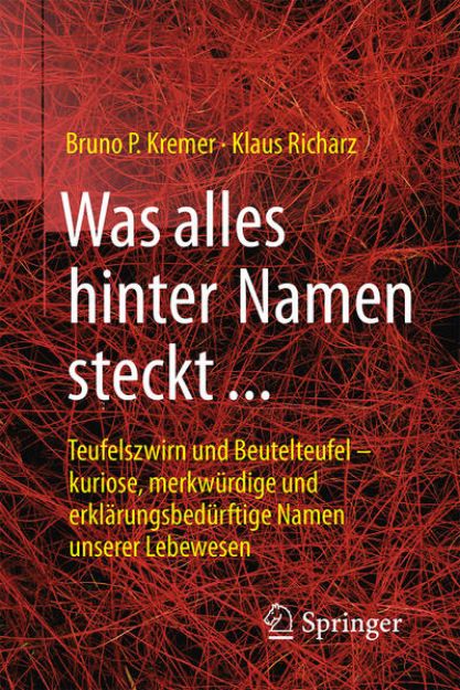 Bild zu Was alles hinter Namen steckt von Bruno P. Kremer