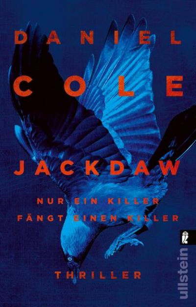 Bild zu Jackdaw von Daniel Cole