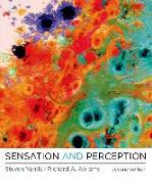 Bild zu Sensation and Perception (eBook)