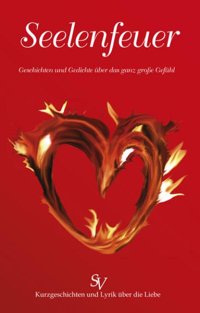 Bild von Seelenfeuer (eBook)