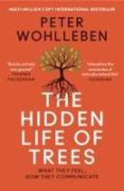 Bild von The Hidden Life of Trees von Peter Wohlleben