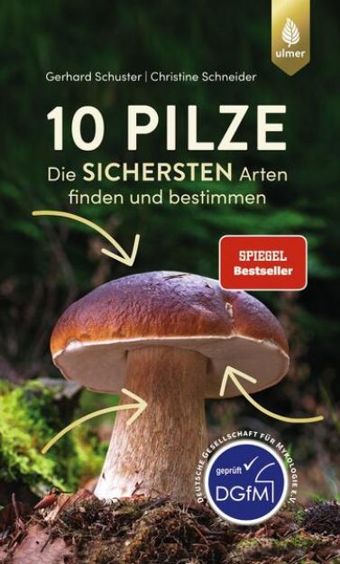 Bild von 10 Pilze (eBook)