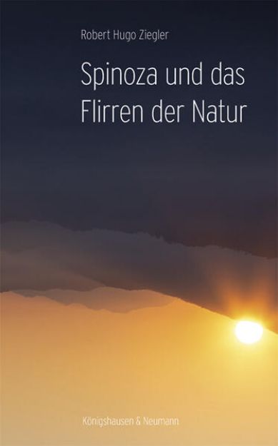 Bild von Spinoza und das Flirren der Natur (eBook)