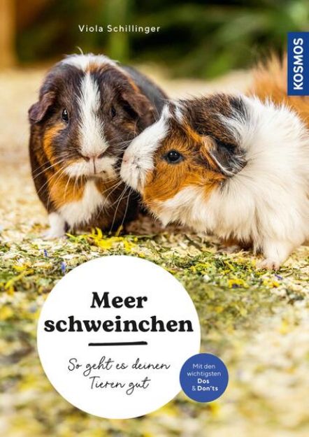 Bild von Meerschweinchen (eBook)