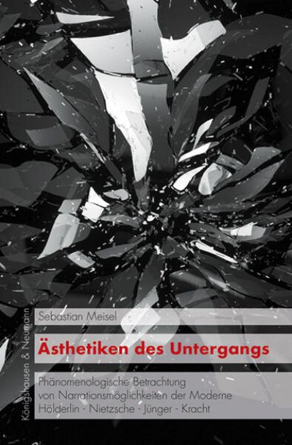 Bild von Ästhetiken des Untergangs (eBook)